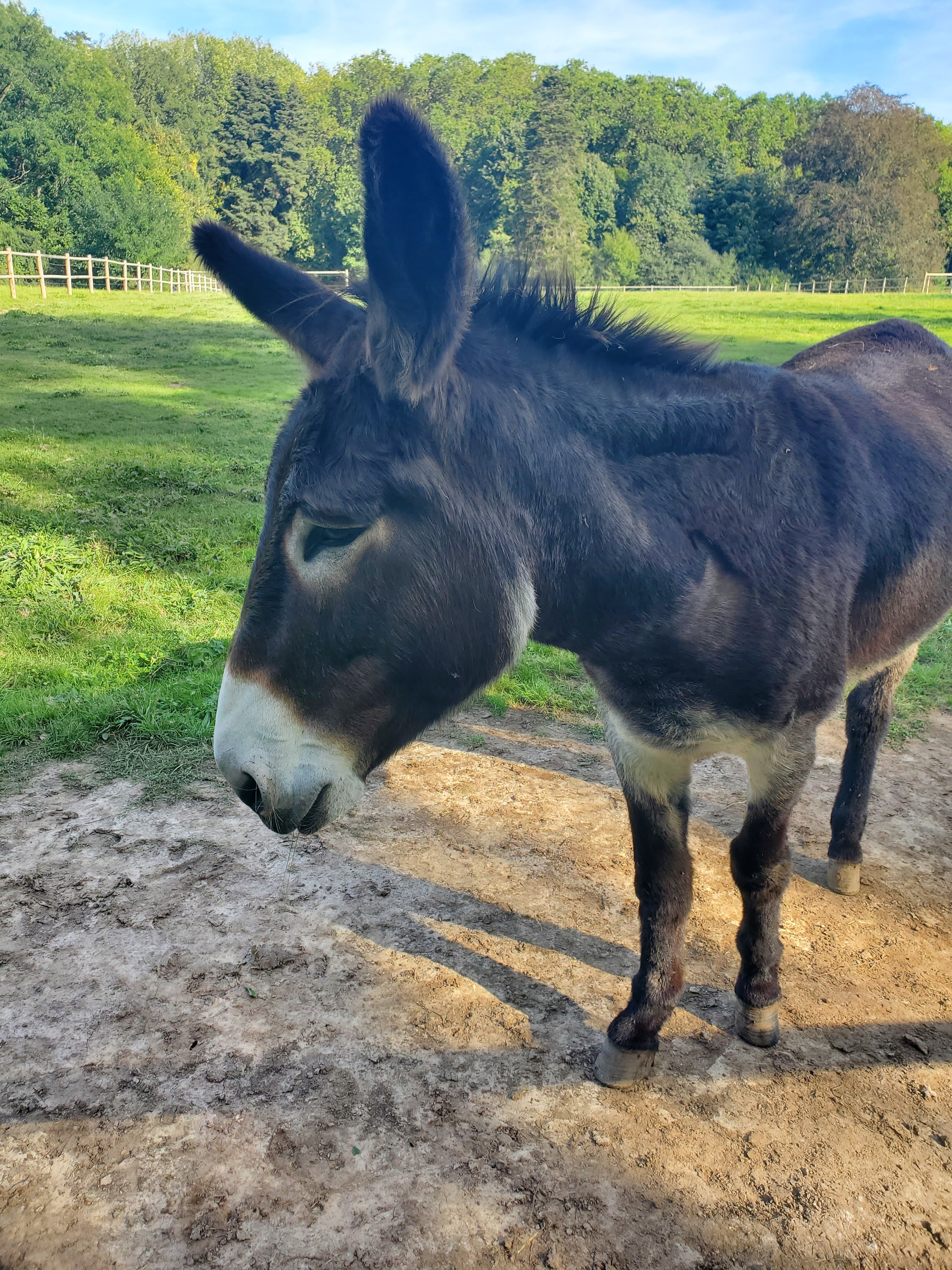 Photo n° 5 de l'avis de Sabrina.e fait le 28/09/2023 à 21:42