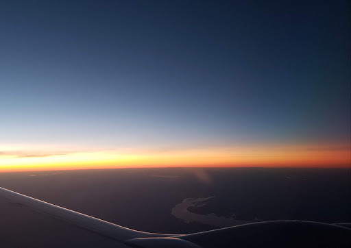 National Forest «Francis Marion National Forest», reviews and photos, 2967 Steed Creek Rd, Huger, SC 29450, USA