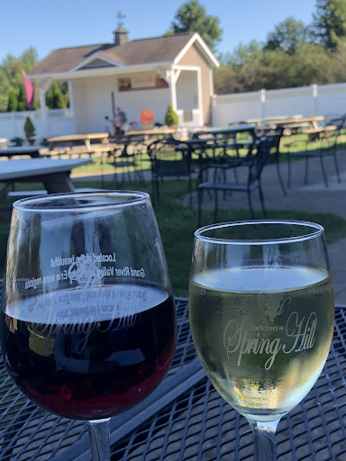 Winery «The Winery at Spring Hill», reviews and photos, 6062 South Ridge Rd W, Geneva, OH 44041, USA
