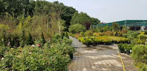 Garden Center «Blooms at Belle Mead», reviews and photos, 1980 US-206, Belle Mead, NJ 08502, USA