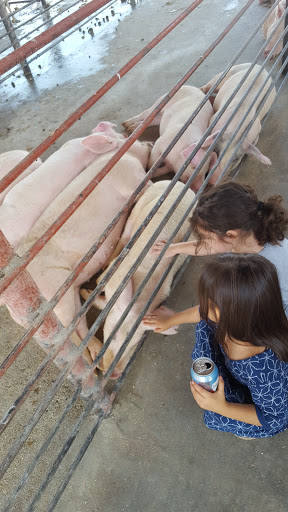 Meat Wholesaler «Lizze Custom Processing», reviews and photos, 7310 Pine Ave, Chino, CA 91708, USA