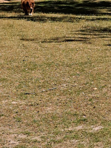 Park «North Charleston Wannamaker County Park», reviews and photos, 8888 University Blvd, North Charleston, SC 29406, USA