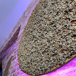 Photo n°1 de l'avis de Petra.l fait le 29/05/2023 à 16:09 sur le  #Foodporn ... so schmeckt Sylt à Sylt