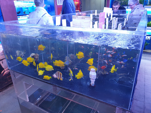Aquarium shop Daly City