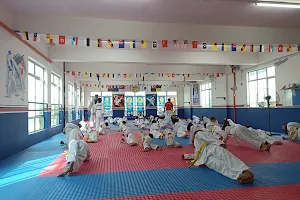 Koryo Taekwondo Club Muar-Tangkak-Jasin image