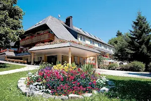 Hotel Schwarzwald-Gasthof Rößle image