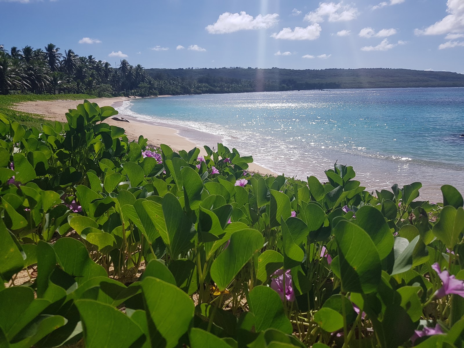 Foto de Kammer Beach con costa recta y larga