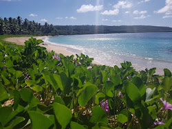 Photo de Kammer Beach avec rivage droit, long