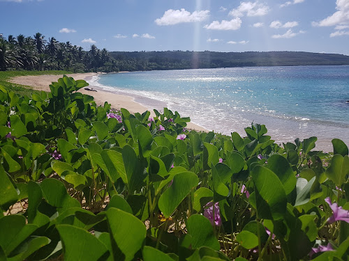 Kammer Beach photo #2
