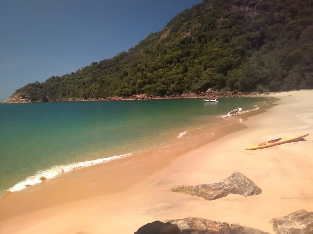 布拉瓦海滩的照片 野外区域