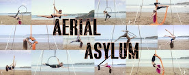 Aerial Asylum