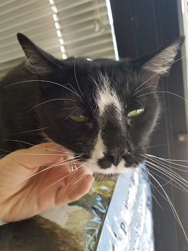 Tack Shop «J & T Country Feeds Inc», reviews and photos, 4835 W 10th St, Greeley, CO 80634, USA