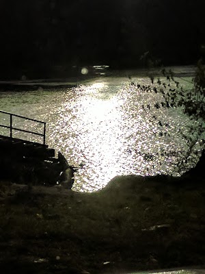 Riverview Park - photo 32