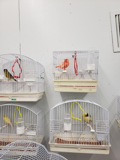Bird Shop «Paterson Bird Store», reviews and photos, 13 Furler St # 1, Totowa, NJ 07512, USA