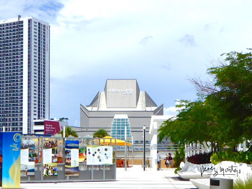 Concert Hall «Knight Concert Hall», reviews and photos, 1300 Biscayne Blvd, Miami, FL 33132, USA