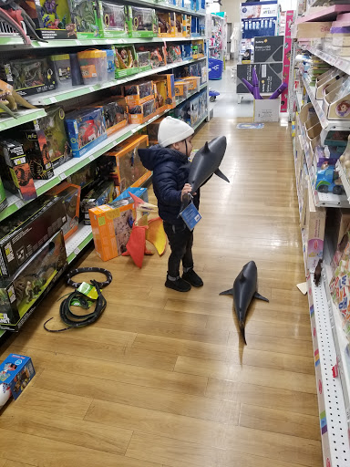 Toy Store «Toys