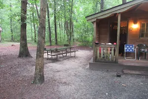 Martinak State Park, Campground, Loop A image