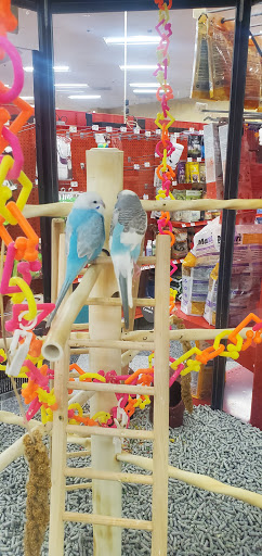 Pet Supply Store «Petco Animal Supplies», reviews and photos, 1500 N Town E Blvd, Mesquite, TX 75150, USA