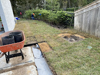 100% Tree & Lawn Care LLC - Photo 3 - Car repair in Houston, TX, Houston