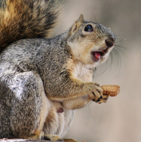 Theme Park «Nickelodeon Universe», reviews and photos, 5100 E Broadway, Bloomington, MN 55425, USA