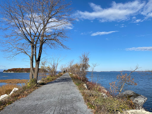 Malletts Bay Bicycle and Ski, 794 W Lakeshore Dr, Colchester, VT 05446, USA, 