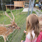Photo n°5 de l'avis de Olga.e fait le 18/08/2021 à 11:02 sur le  Märchenwald Saalburg à Saalburg-Ebersdorf