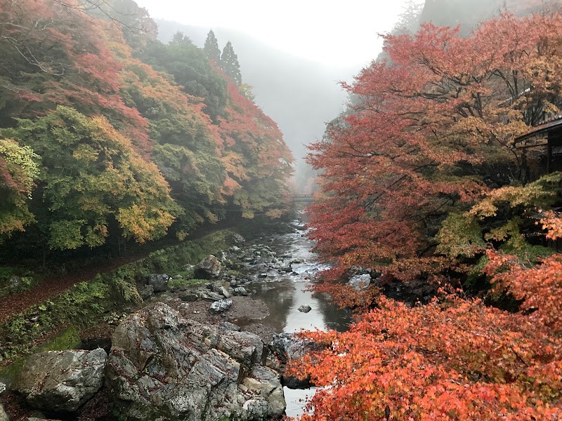 清滝川遊び場所