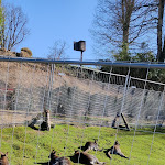 Photo n° 8 de l'avis de Martin.. fait le 28/02/2022 à 14:22 pour Zoo de La Flèche à La Flèche