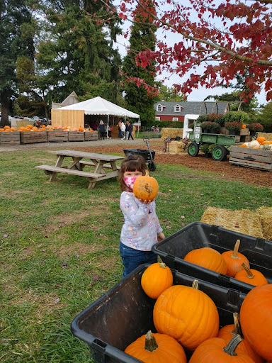 Market «E Z Orchards Farm Market», reviews and photos, 5504 Hazelgreen Rd NE, Salem, OR 97305, USA