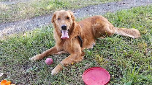 Auto Repair Shop «Southend Auto Care», reviews and photos, 8318 Pacific Hwy E, Tacoma, WA 98422, USA