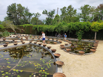 Le Jardin Des Nénuphars - Jardin Botanique Ouvert à la visite du 1er Mai au 30 Septembre à Le Temple