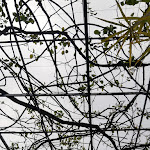 Photo n°21 de l'avis de Annalaura.i fait le 16/04/2022 à 13:42 sur le  Villa Magia à Positano