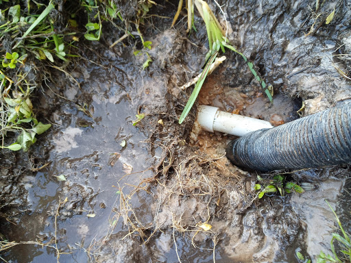 Plumber «Roto-Rooter Plumbing & Drain Services», reviews and photos, 8351 Epicenter Blvd, Lakeland, FL 33809, USA