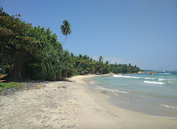 Photo de Serene Hotel Beach zone sauvage