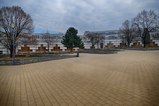 Hozzászólások és értékelések az Pécsi Apáczai Csere János Általános Iskola, Gimnázium, Kollégium, Alapfokú Művészeti Iskola-ról