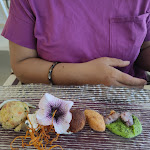 Photo n°1 de l'avis de Ricky.r fait le 04/05/2023 à 12:52 sur le  Ristorante Canessa à Piombino