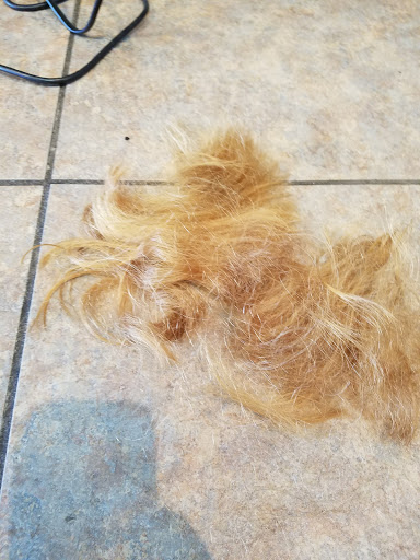 Hair Salon «Fantastic Sams Cut & Color», reviews and photos, 1767 4700 S, Salt Lake City, UT 84118, USA