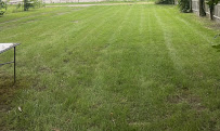 R.C. Lawn Care & Snow Removal Inc Our Quality Is A Reflection Of You! - Photo 5 - Car repair in South Holland, IL, Chicago