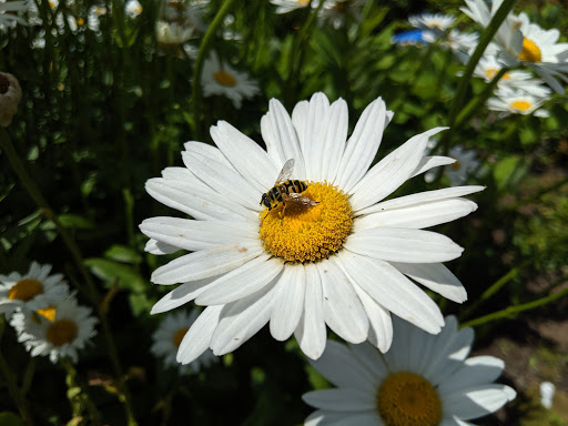Tourist Attraction «NatureScaping Wildlife Botanical Gardens», reviews and photos, 11000 NE 149th St, Brush Prairie, WA 98606, USA