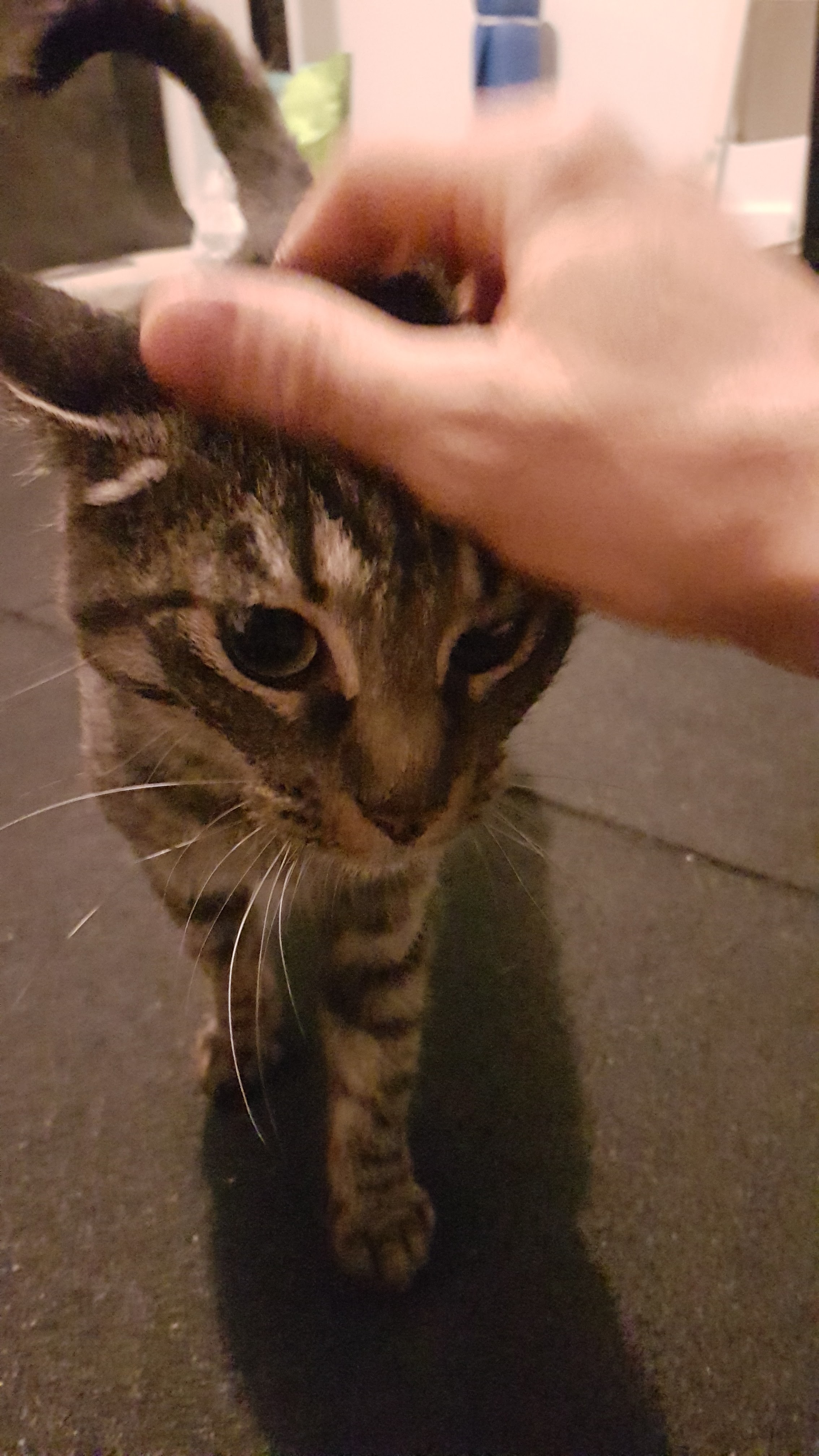 Photo n° 1 de l'avis de damien.o fait le 23/09/2019 à 08:09