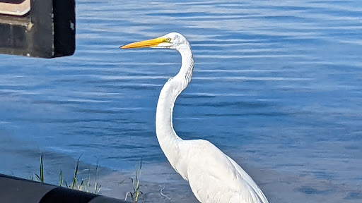 Park «Josiah Cephus Weaver Park», reviews and photos, 1258 Bayshore Blvd, Dunedin, FL 34698, USA