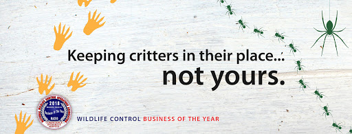 Pest Control Service «Varment Guard Environmental Services Inc.», reviews and photos