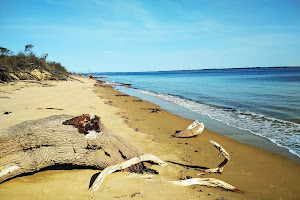 Somers Beach Parking Area