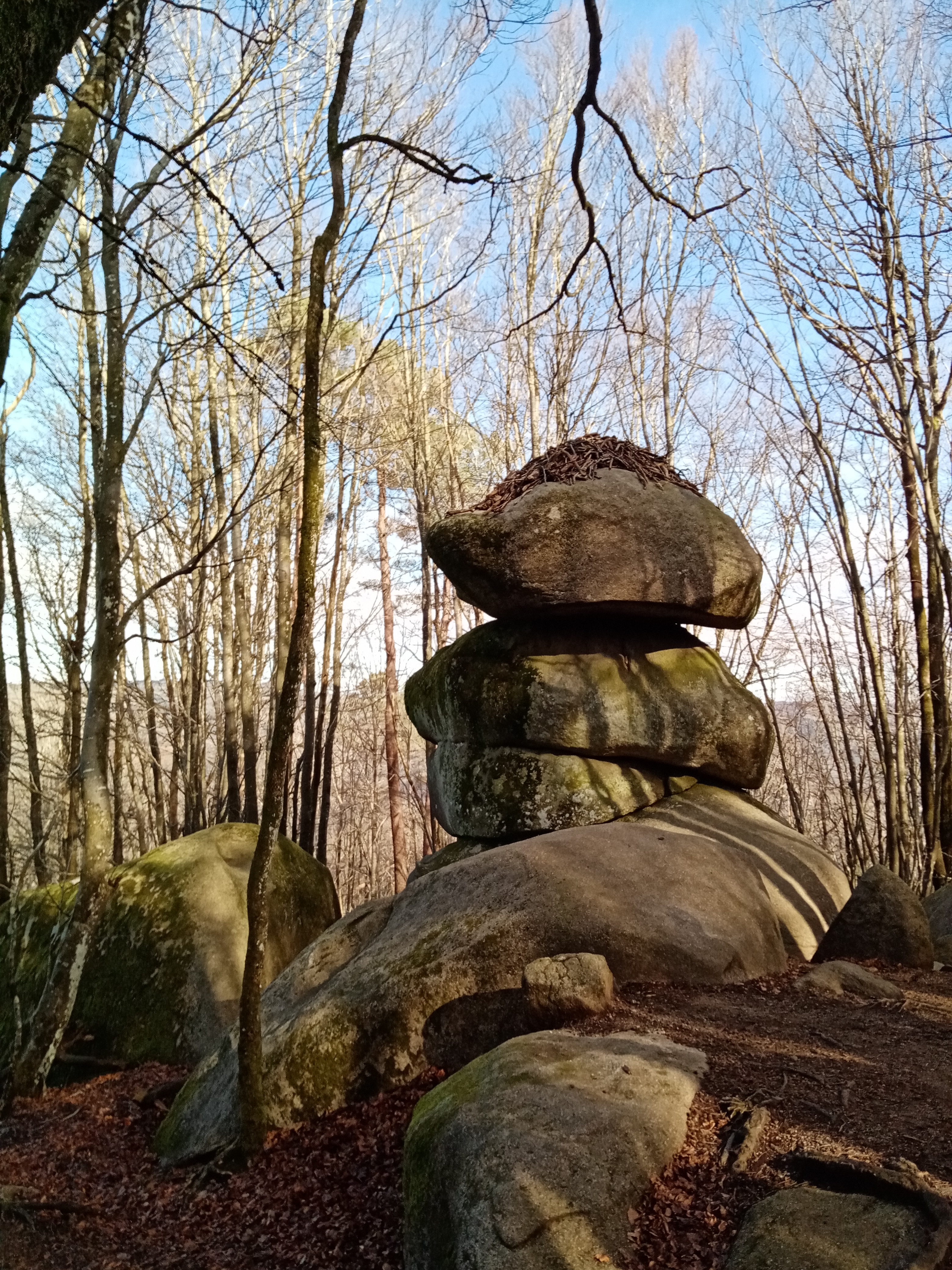 Photo n° 1 de l'avis de S.V fait le 19/02/2021 à 12:21