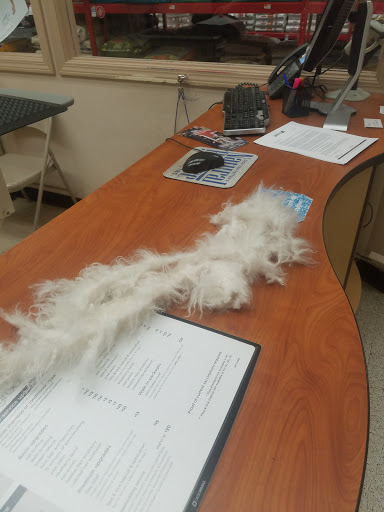 Pet Supply Store «Petco Animal Supplies», reviews and photos, 119 First St, Cambridge, MA 02141, USA