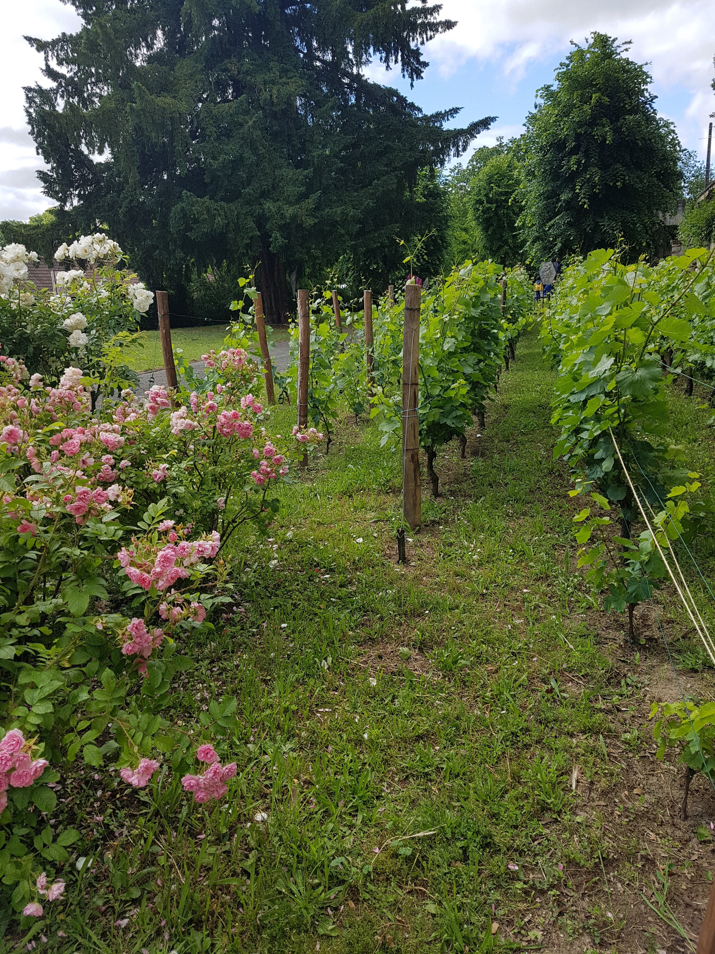 Photo n° 4 de l'avis de Isabelle.e fait le 10/06/2019 à 15:38