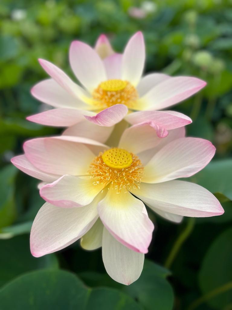 Photo n° 1 de l'avis de vanessa.E fait le 15/07/2023 à 17:06