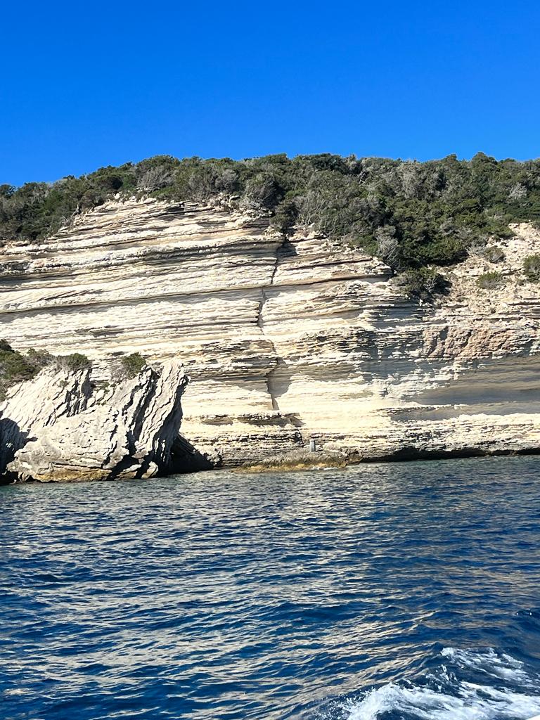 Photo n° 26 de l'avis de DESOLI.l fait le 12/09/2022 à 14:52