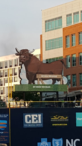 Stadium «Durham Bulls Athletic Park», reviews and photos, 409 Blackwell St, Durham, NC 27701, USA