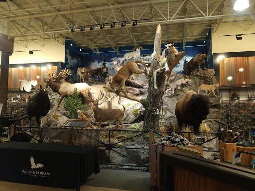 Outdoor Sports Store «Field & Stream», reviews and photos, 2075 Interchange Rd, Erie, PA 16509, USA
